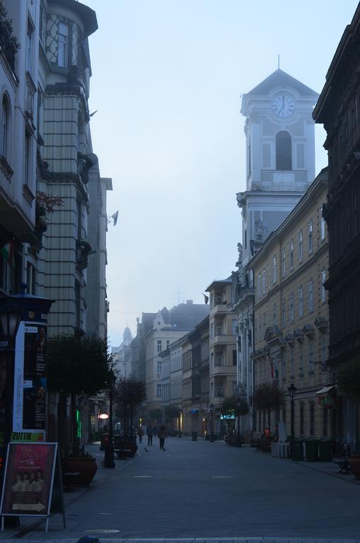 Vaci Street Downtown *