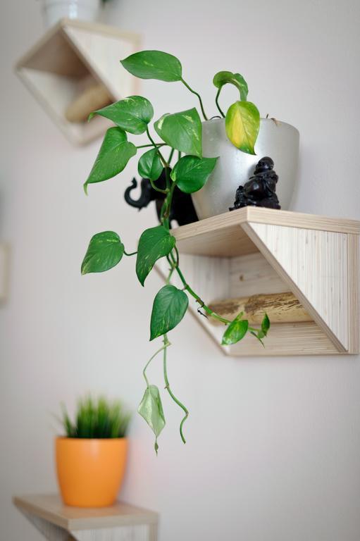Puravida: Deluxe & Studio Apartment Budapest
