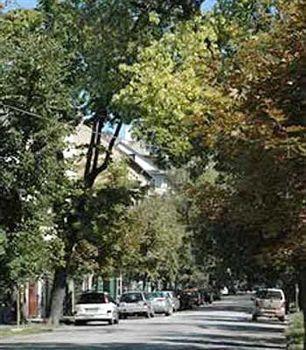 Abel Budapest