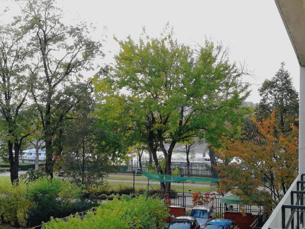 Apartmán Danube *