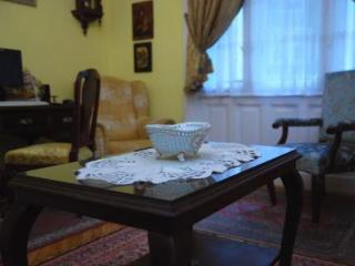 Central Apartment In Budapest Ostello Budapest
