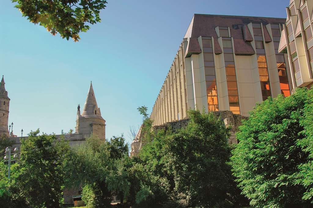 Hotel Hilton 5*