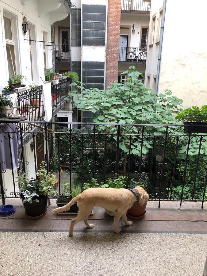 Summer Place * Budapest