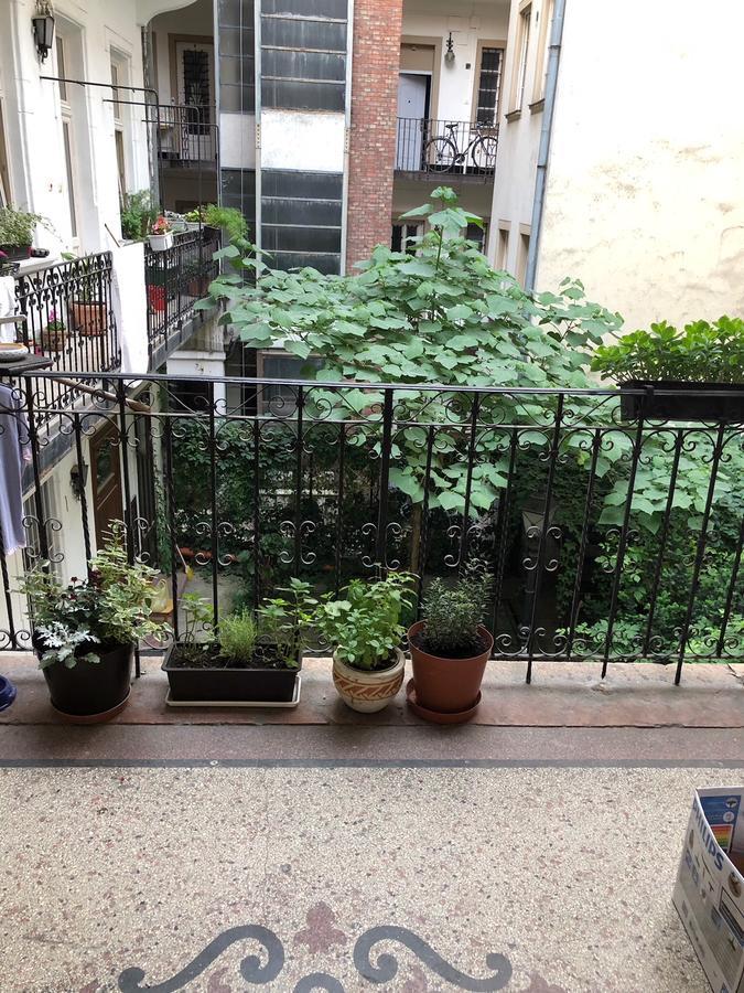 Summer Place Appartement