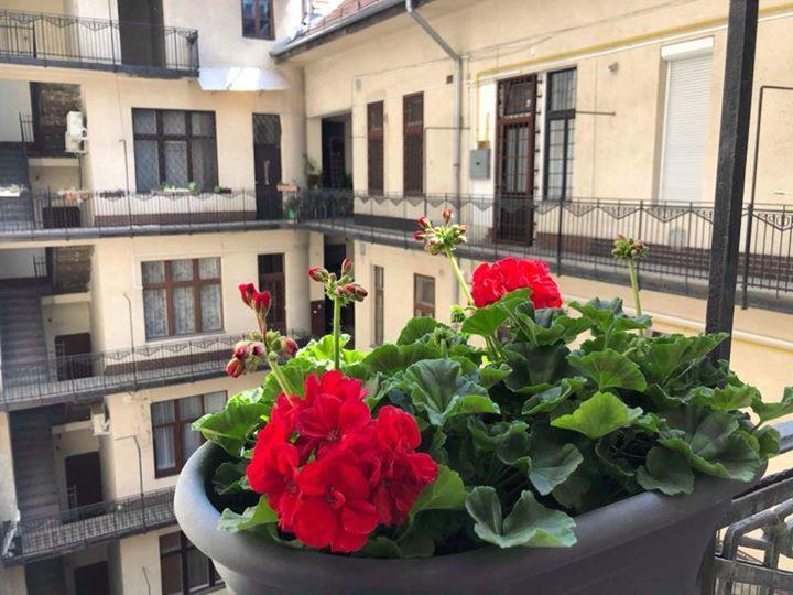 Dolce Vita Rumbach Lejlighedshotel Budapest
