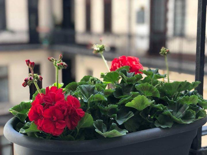Dolce Vita Rumbach Aparthotel