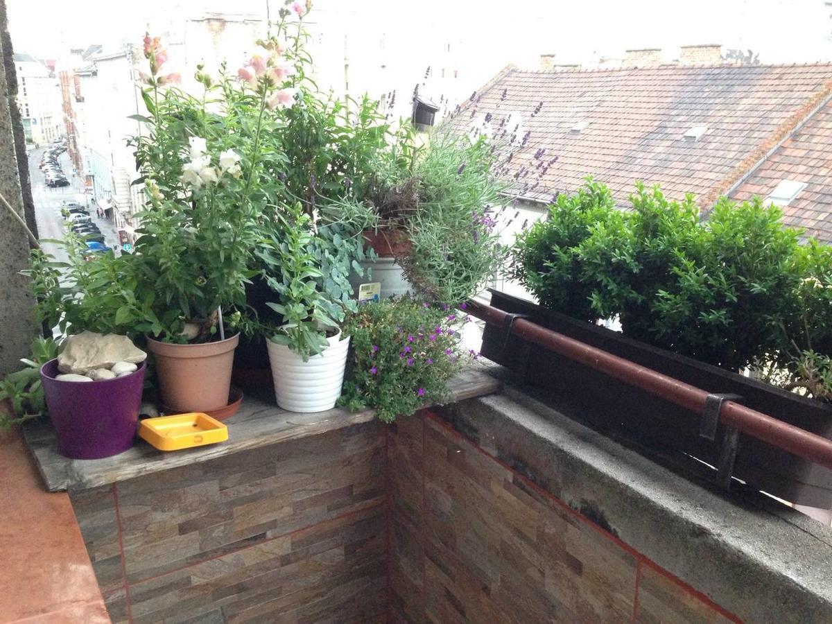 Apartmán Lonyay Street *