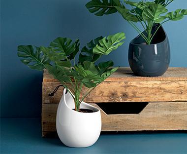 Hippster Design Appartement