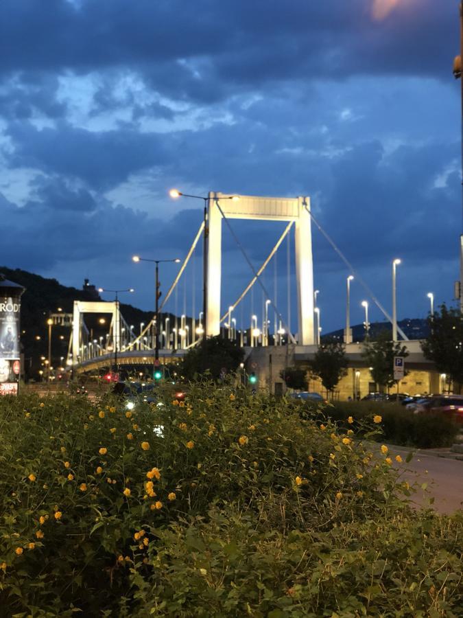 Beautiful View Duna * Budapest