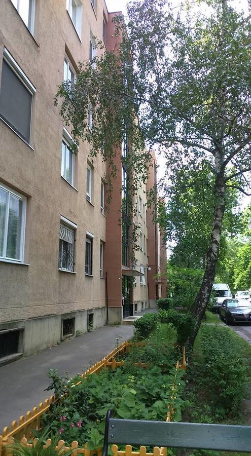 Apartmán Epres Flat *