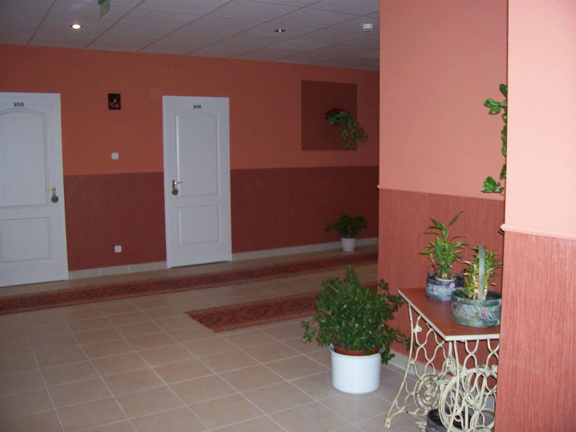 Hotel Timon 3*