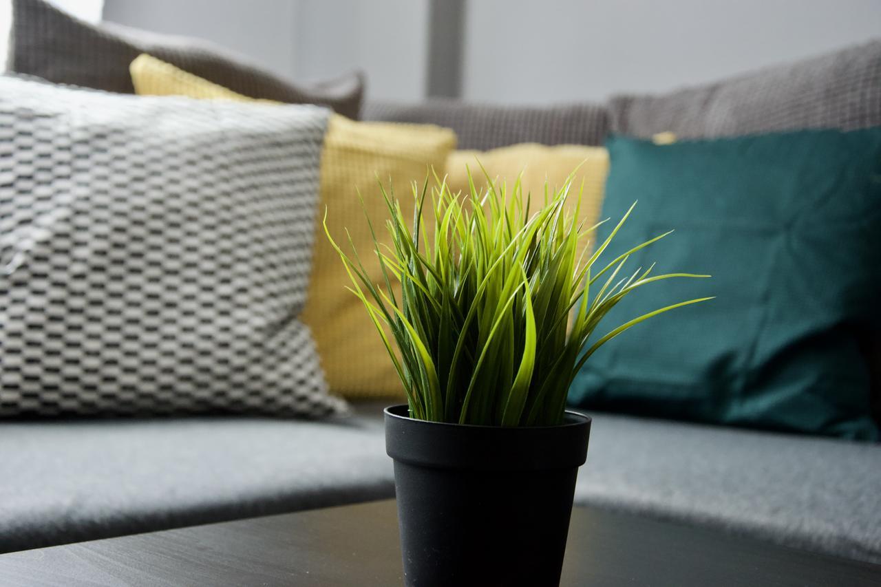 Standard By Hi5 - Asboth 15 Appartement *