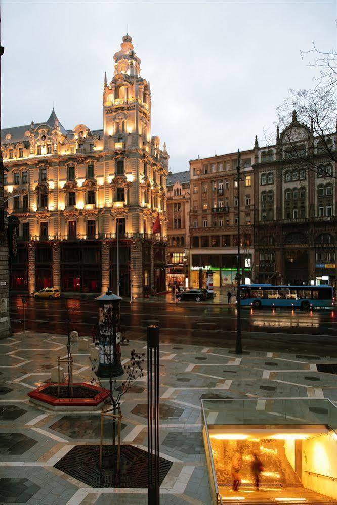 Maverick Downtown Ostello *