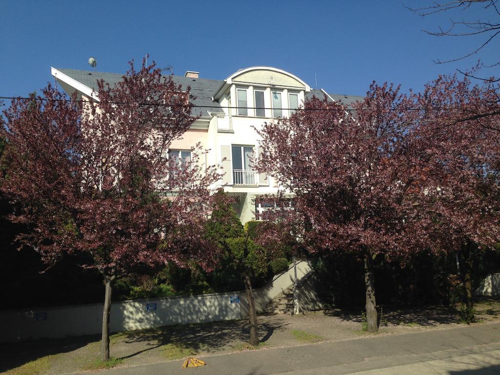 Belle Fleur Panzio Bed & Breakfast 2*