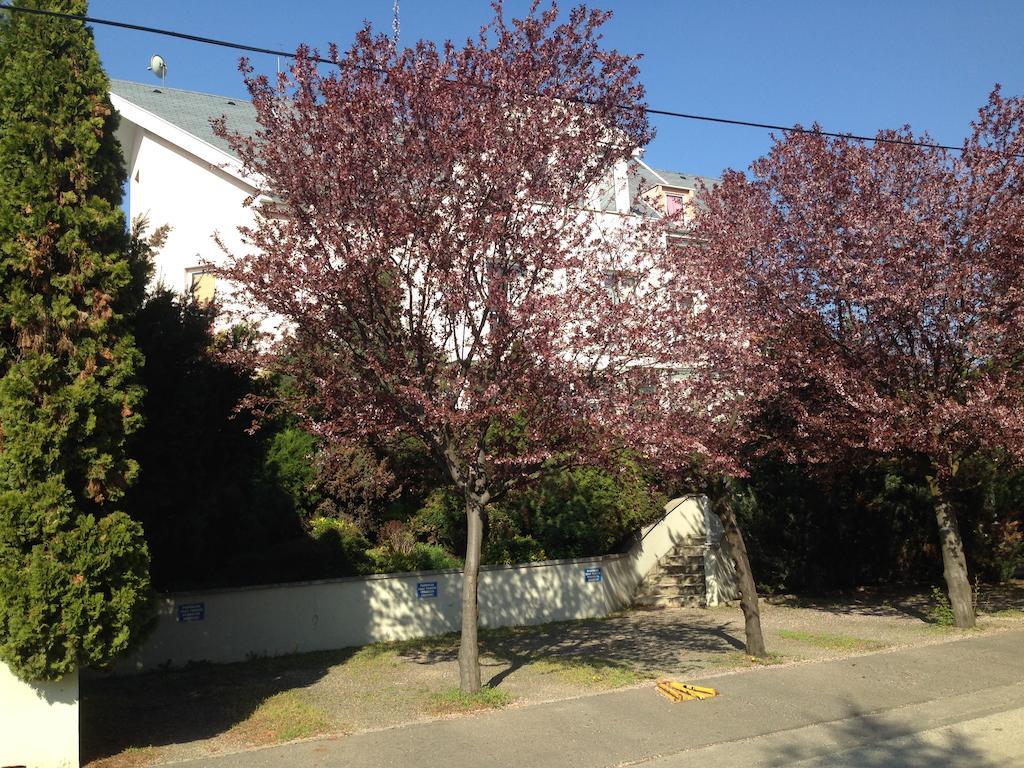 Belle Fleur Panzio Bed & Breakfast