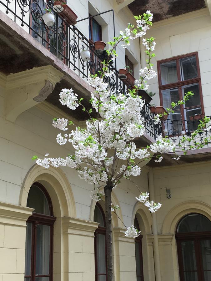 Art And Architecture * Budapest