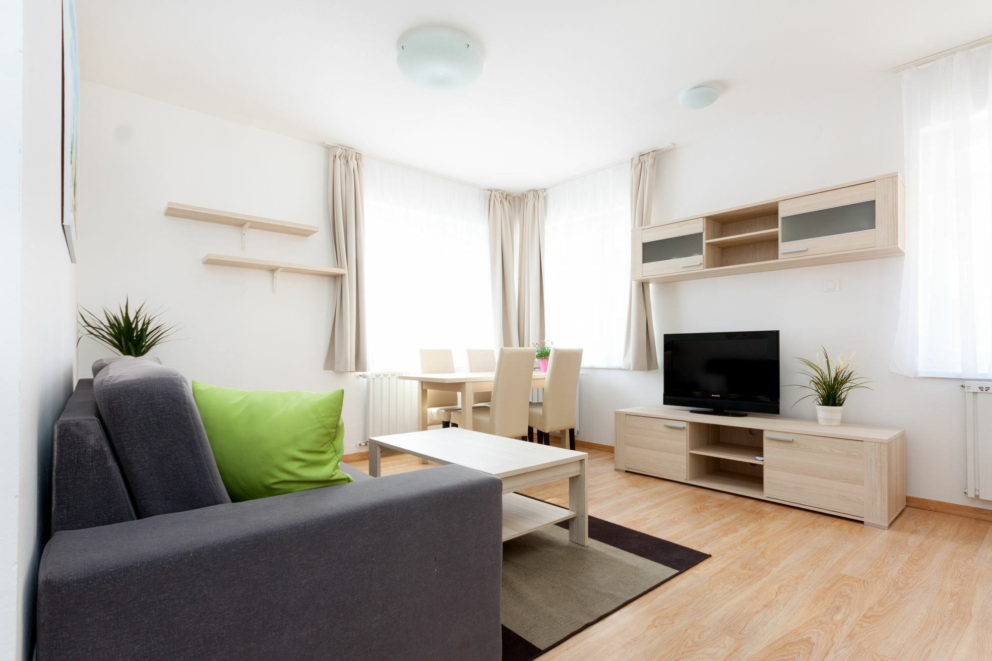 Apartment Maple Tree Budget *