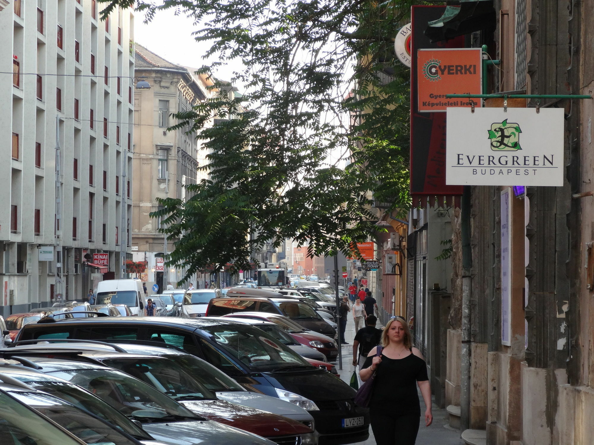 Evergreen Budapest