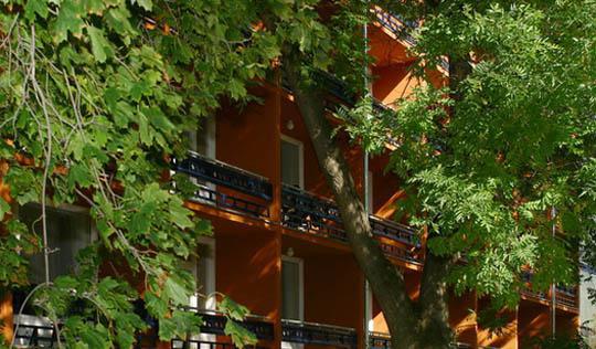 Ibs Garden Budapest