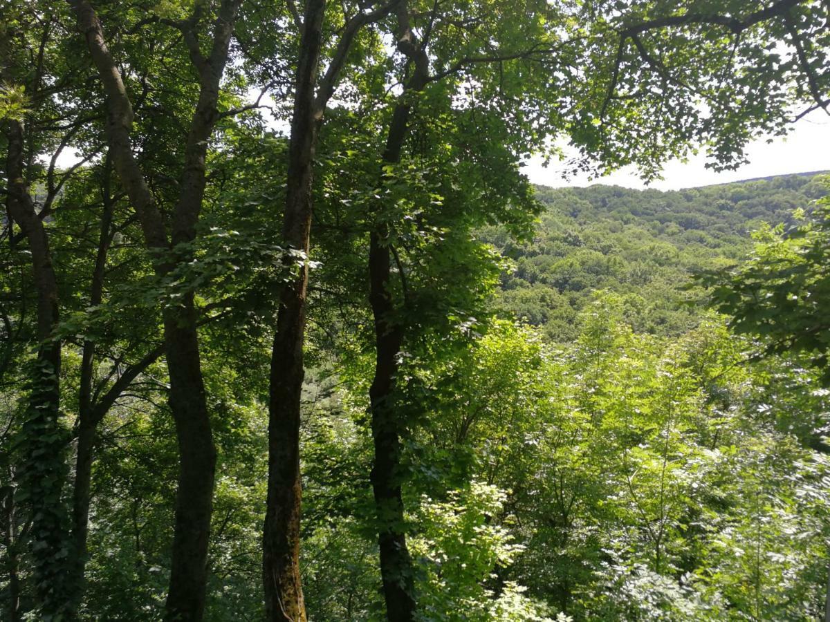 Cabin In The Woods * Budapest