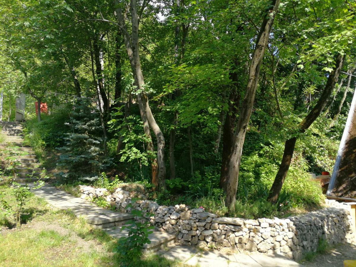 Cabin In The Woods * Budapest