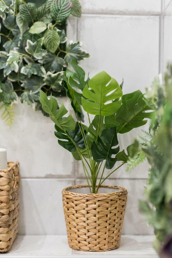 Apartament Jungle Design