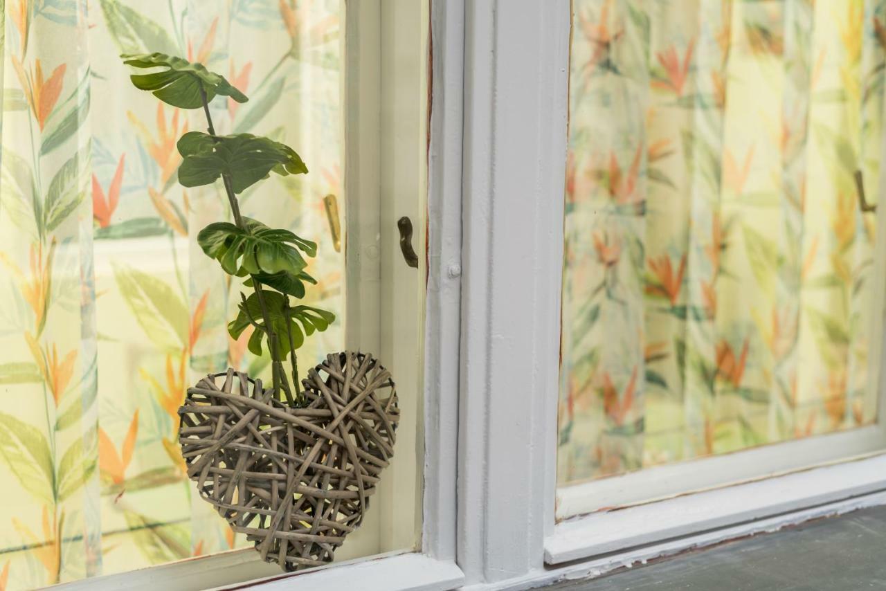 Jungle Design Apartament *