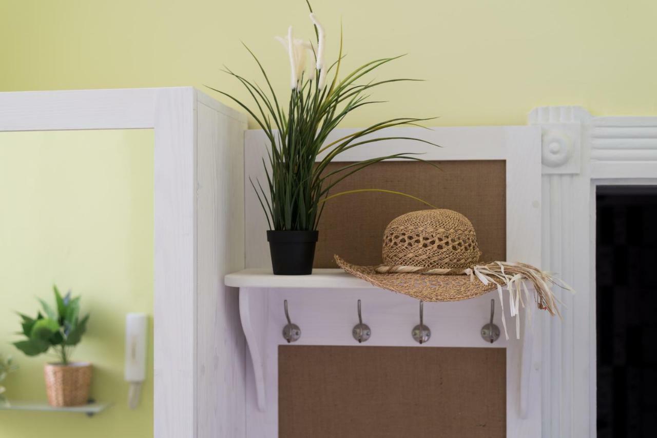 Jungle Design Apartament *