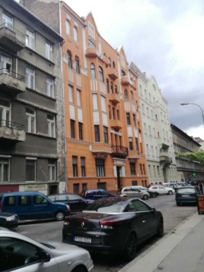 Jungle Design Apartament *