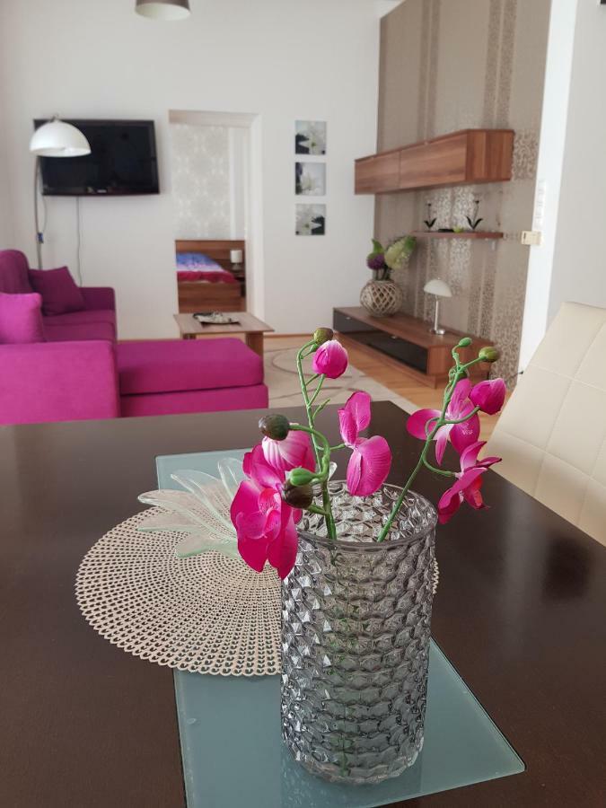 Apartamento Tinodi Utca 1-3 *