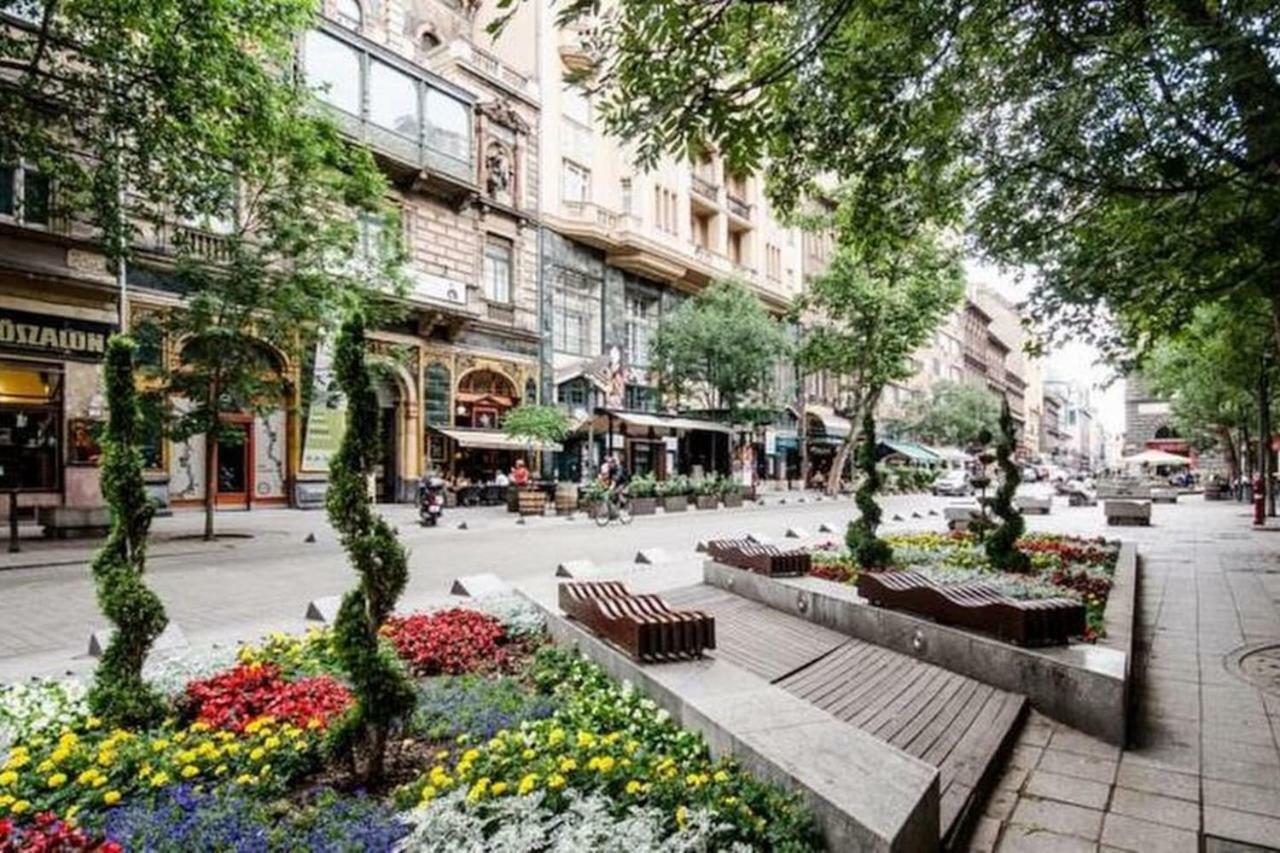 Apartman Cozy Downtown