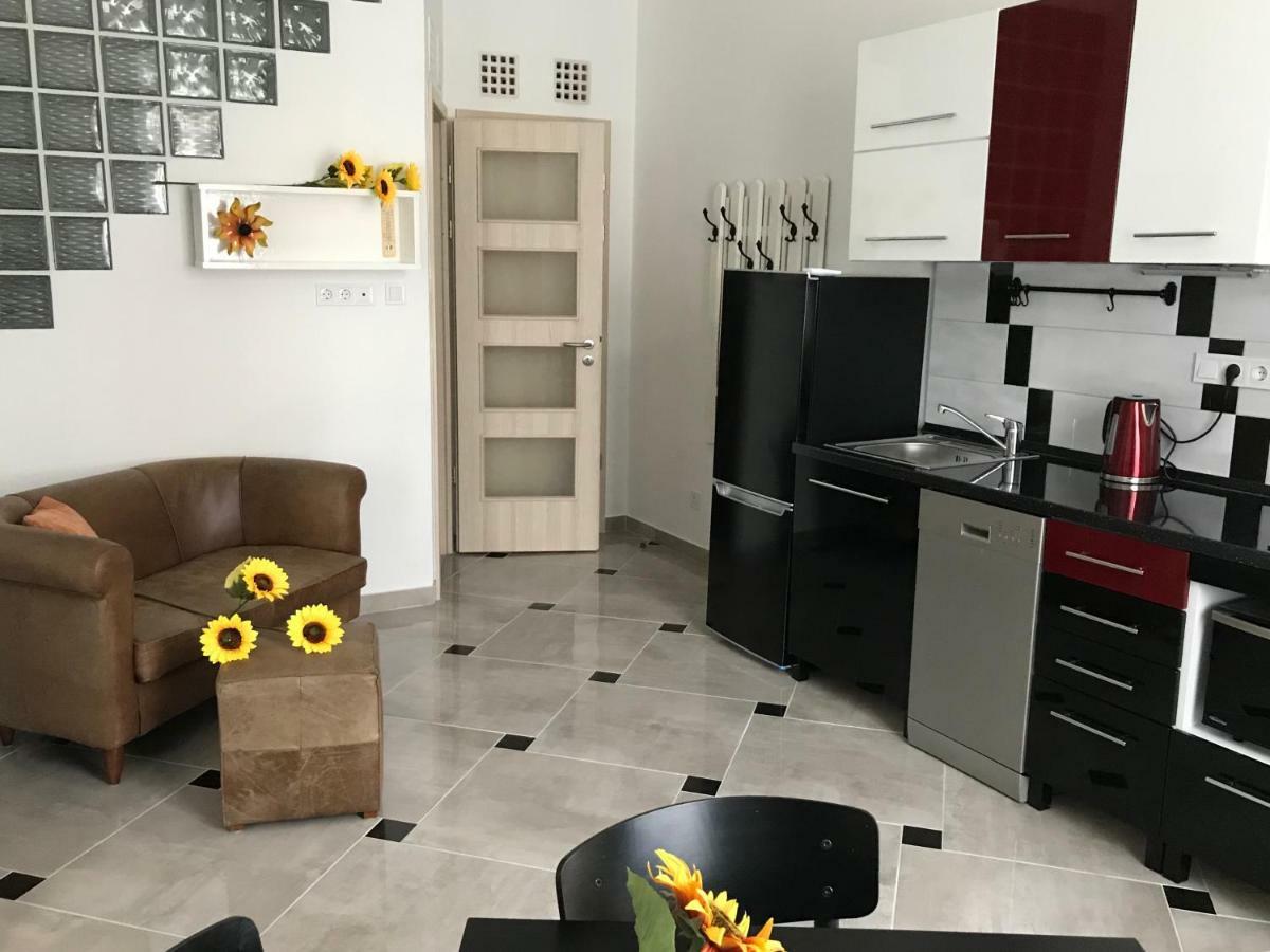 Sunflowers Budapest