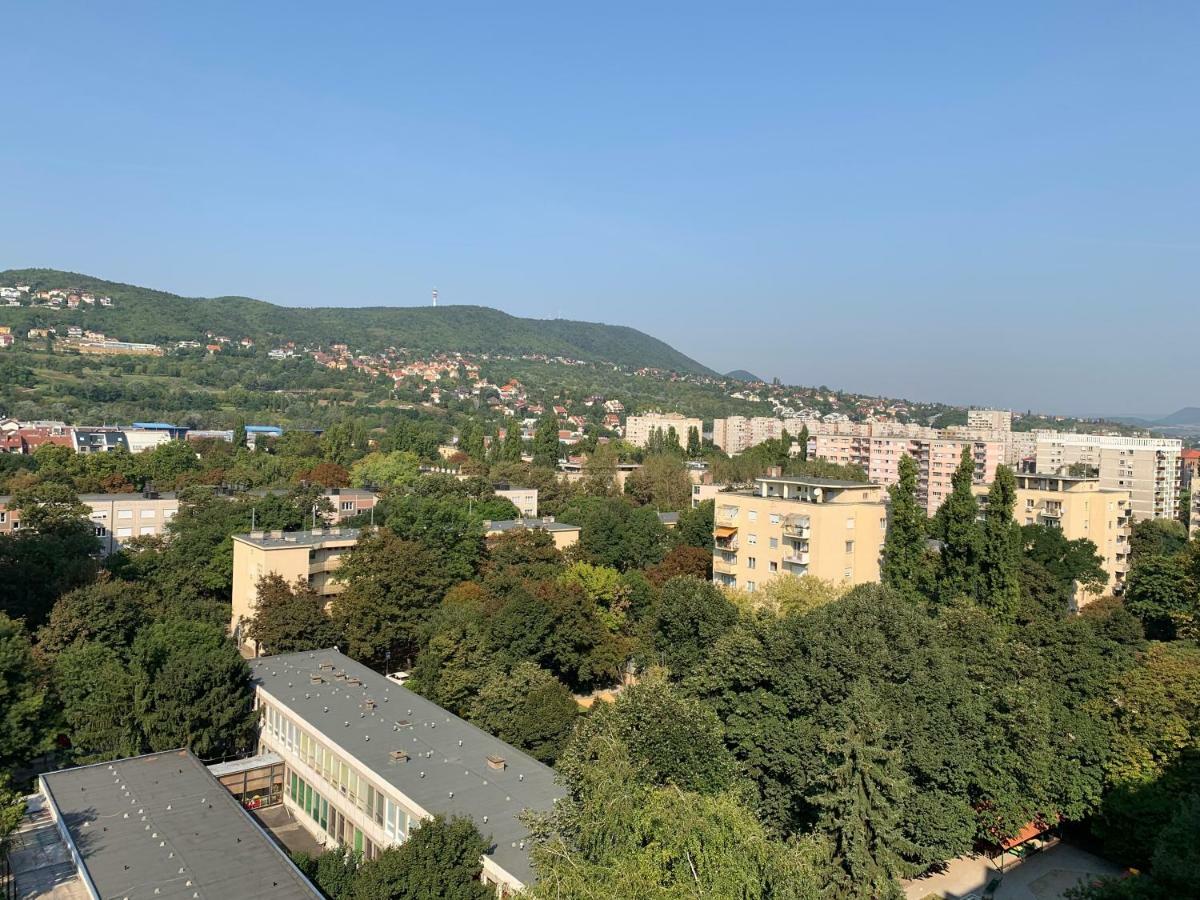 Simon Apartament
