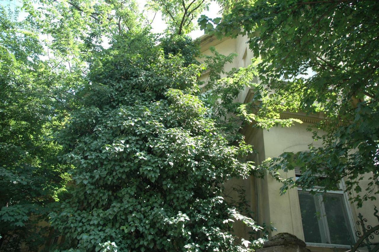 Lendvay Palace Apartamento *