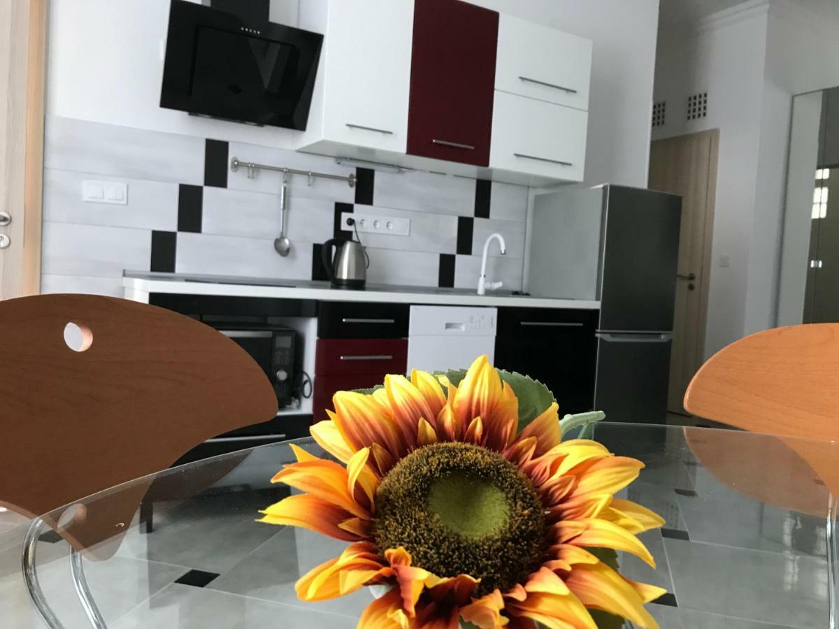 Apartment Sunflowers