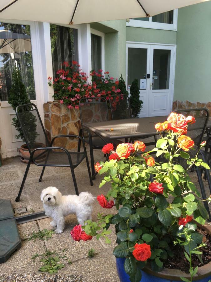Arato Bed & Breakfast