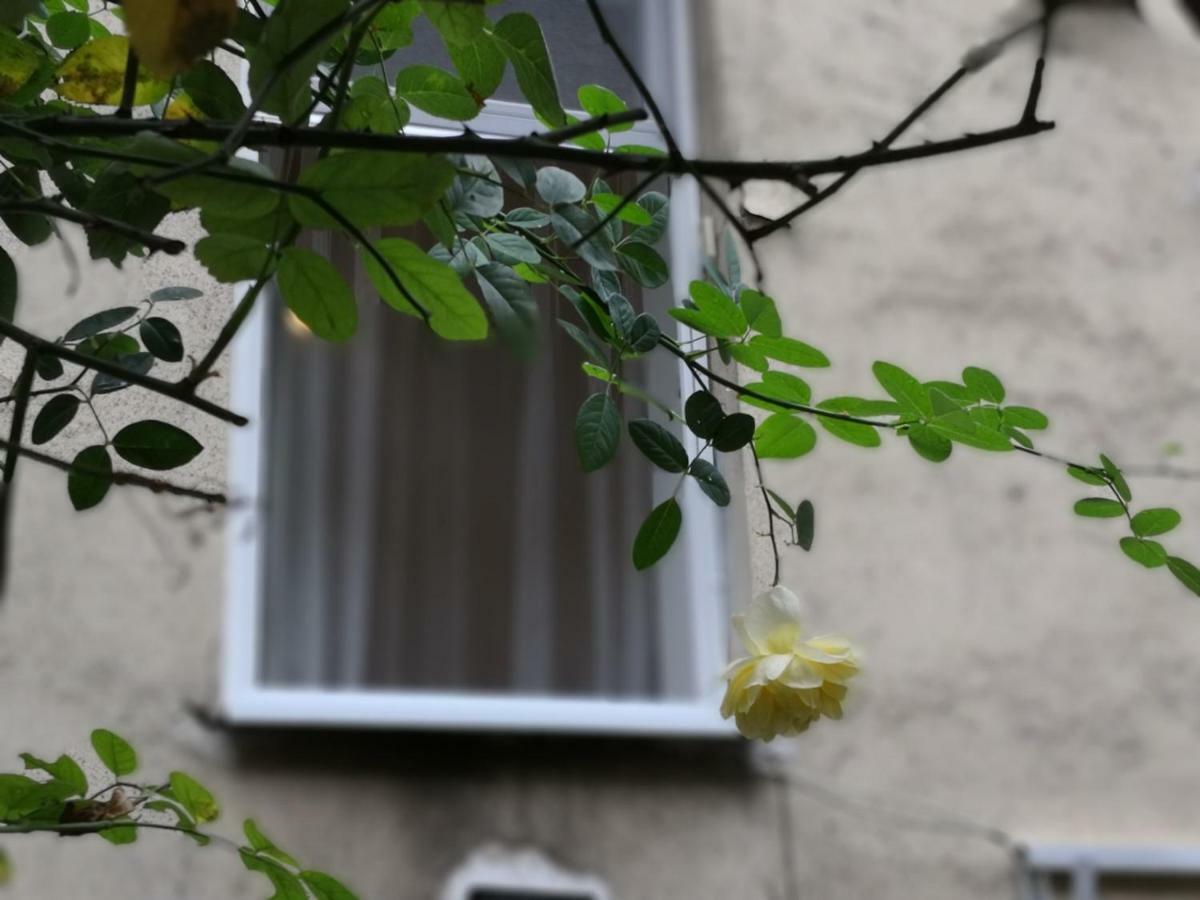 Apartamento Diamond - Bimbam Bajza *