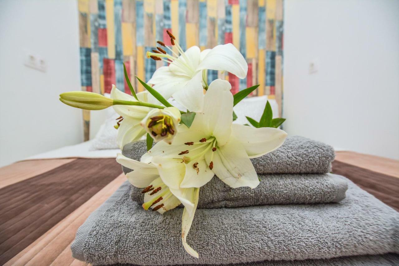 Timeless With Free Private Parking Apartmán Budapešť