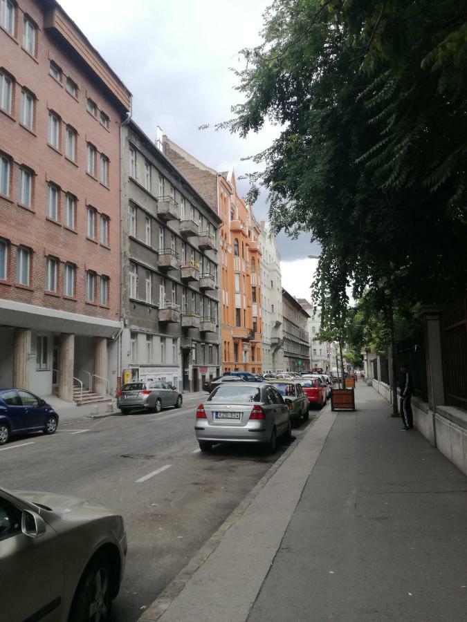 Jungle Design Apartament