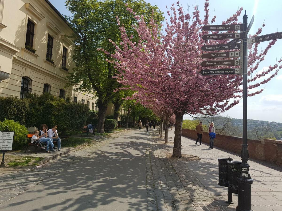 Apartment Budasmile At Buda Castle - Aircon & Free Parking *