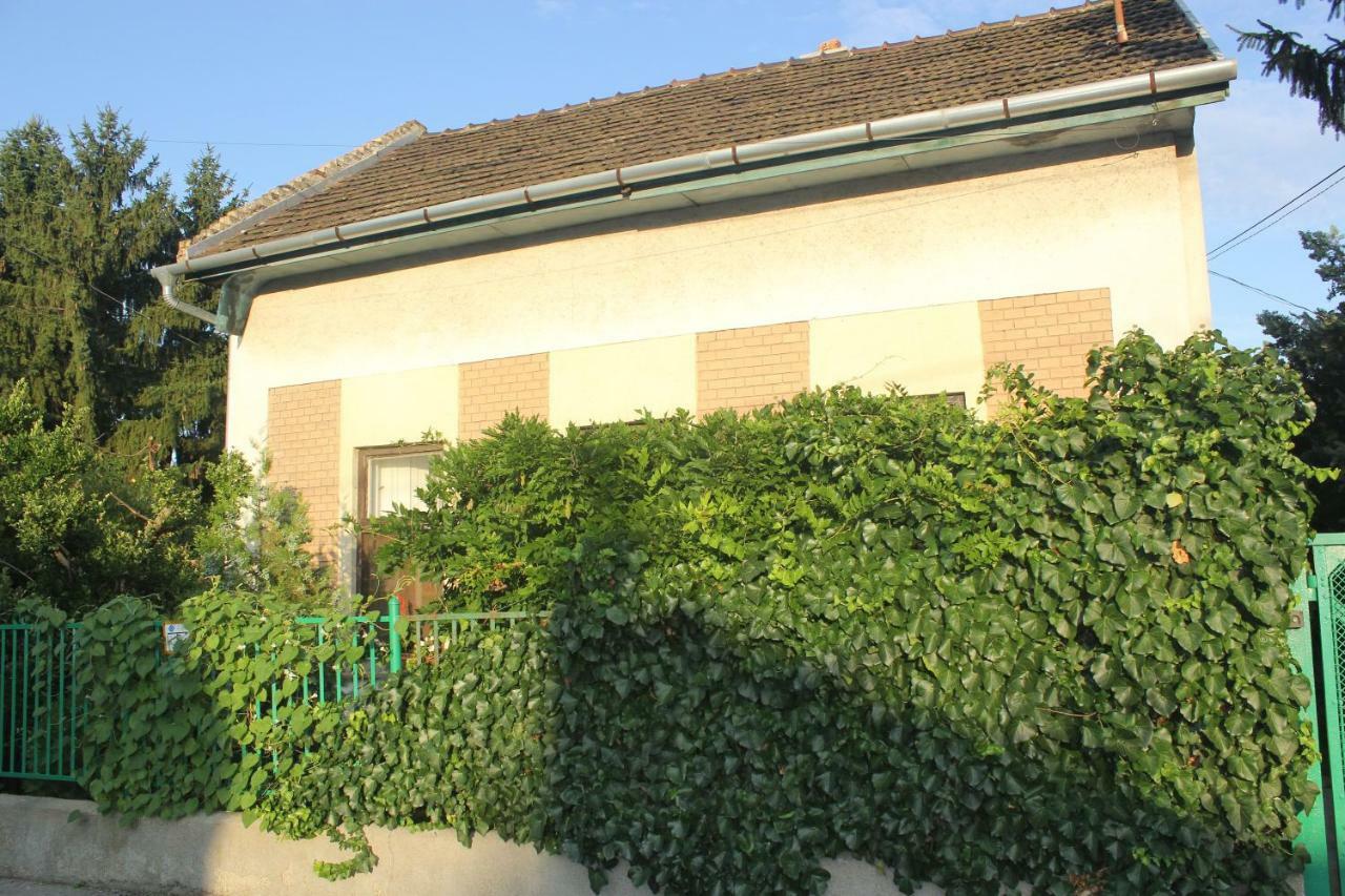 Guest house Casa Mamma *