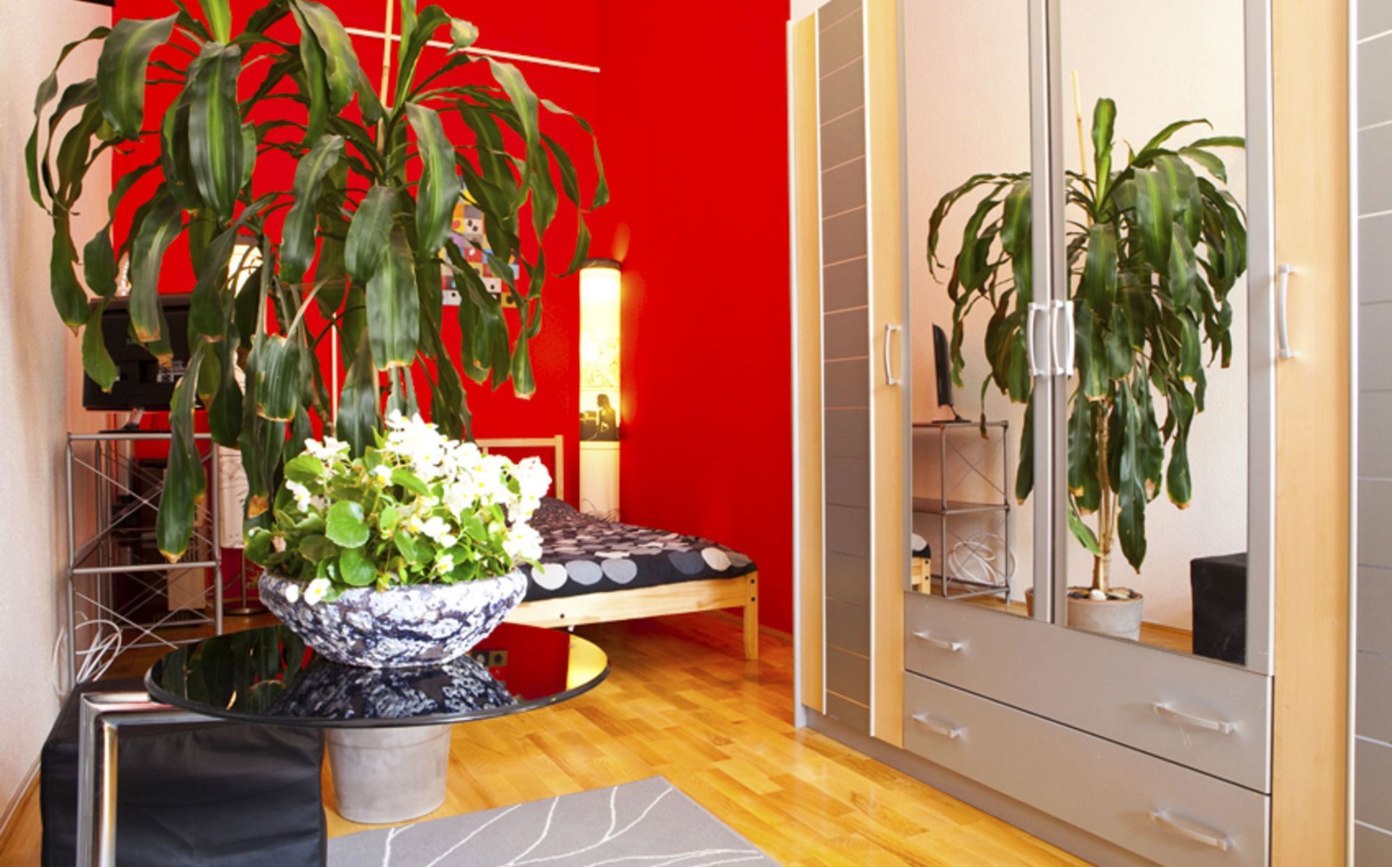 Souper Downtown-kiraly Street Apartment *