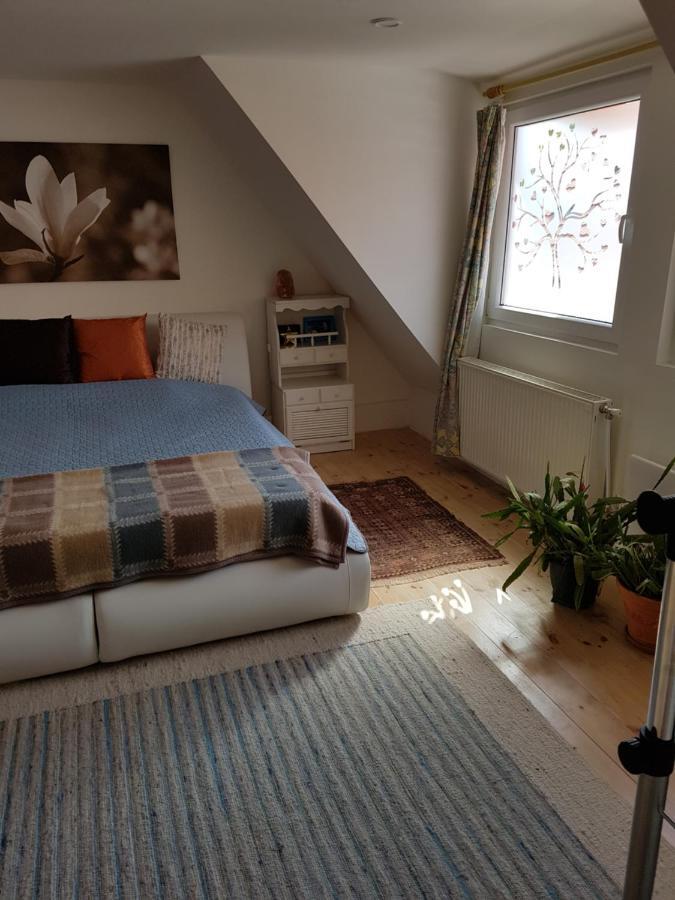 Homestay szállás Családi Haz
