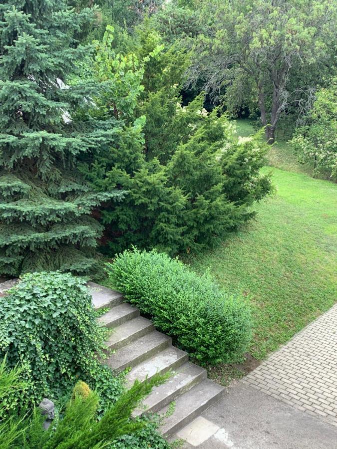 Maharaja Mountain Palace With Free Privat Parking And Garden * Budapeszt