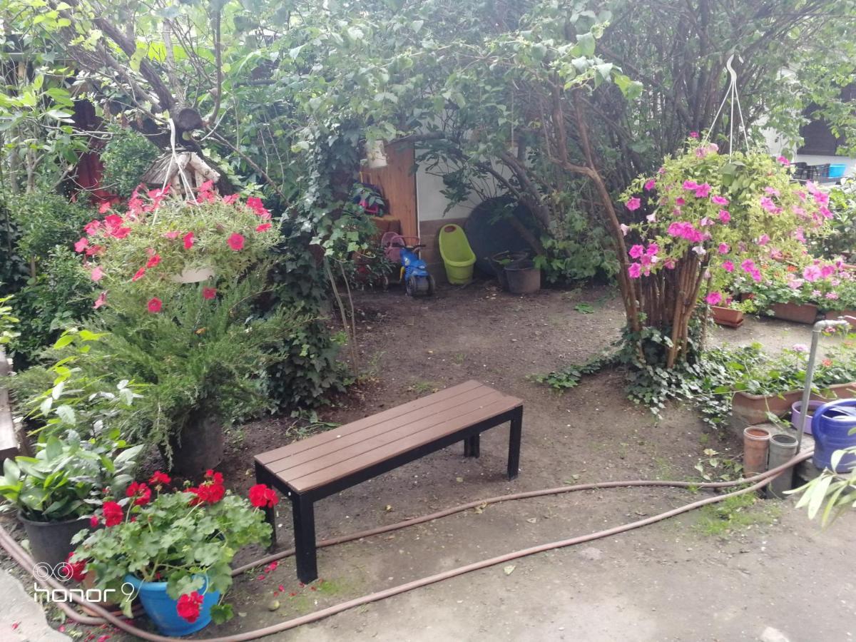 Guest house Hungaria
