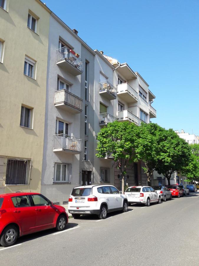 Zsofia's *