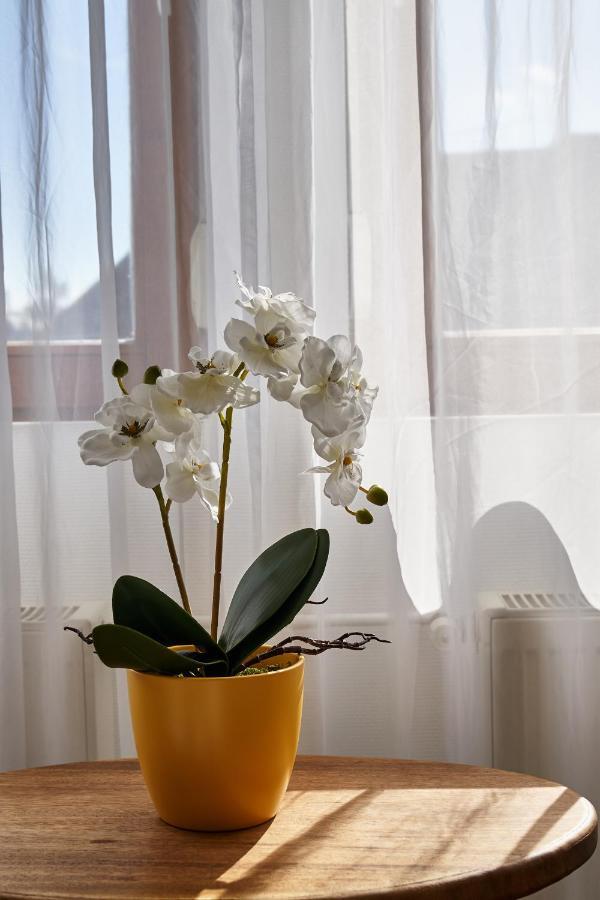 Warm & Friendly Ii. Appartamento
