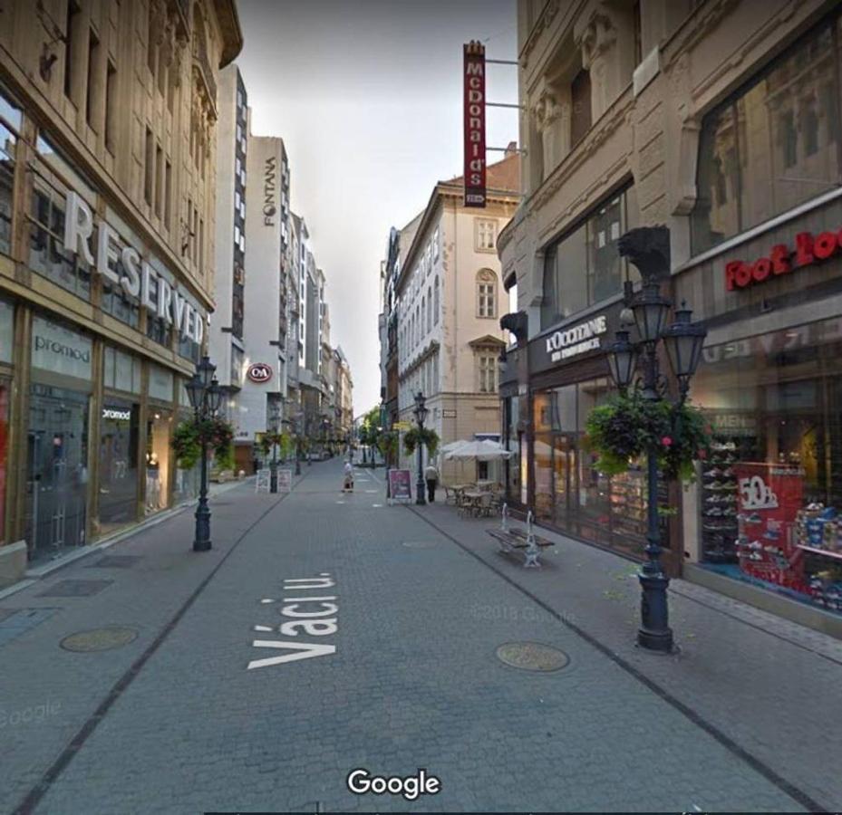 Your Frisky In The Iconic Vaci Street *