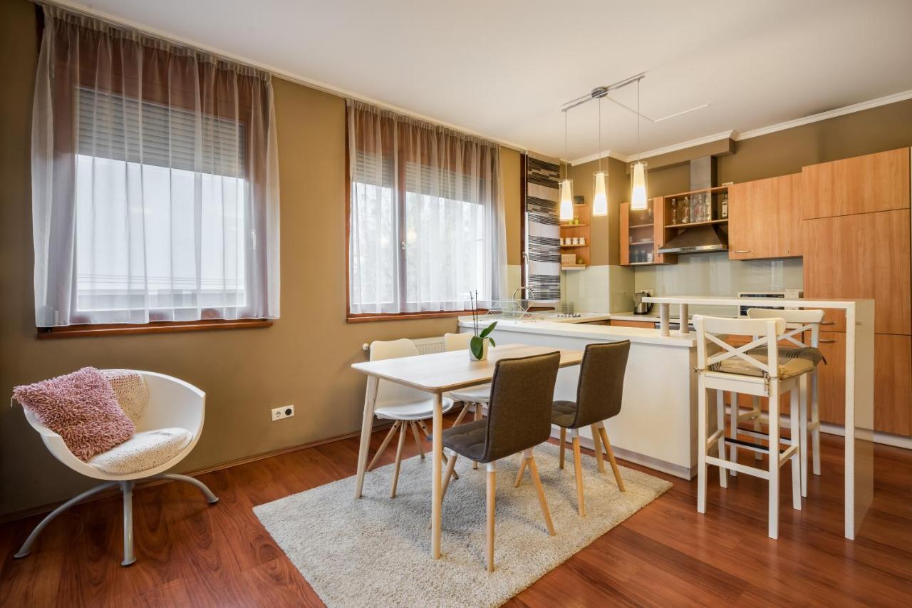 Downtown Karpat 9 Apartment