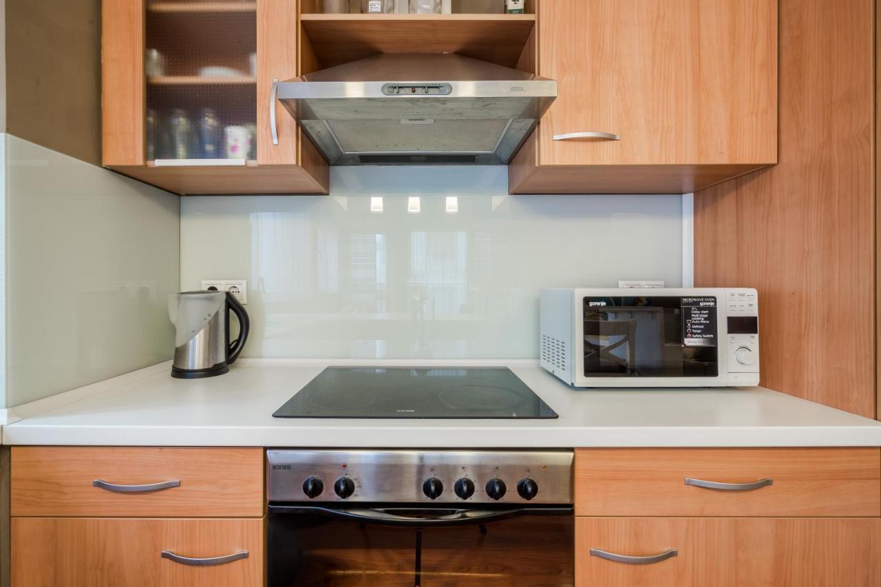 Downtown Karpat 9 Apartment